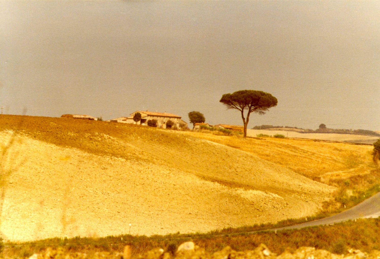 Nede i lavlandet igen, typisk Toscana
