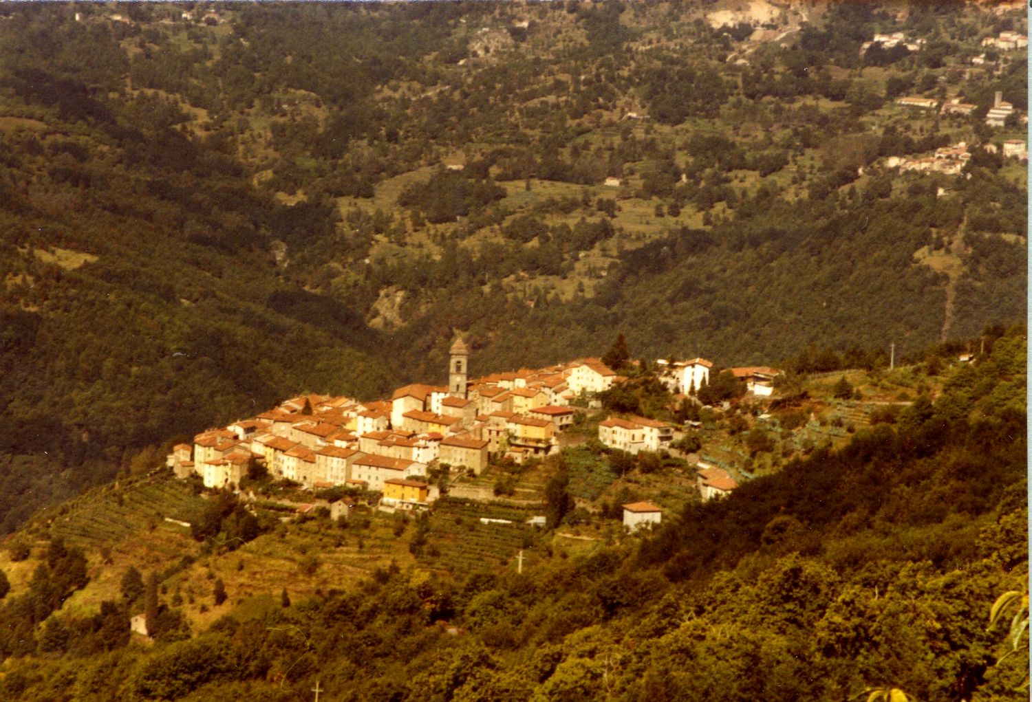 Casabasciana