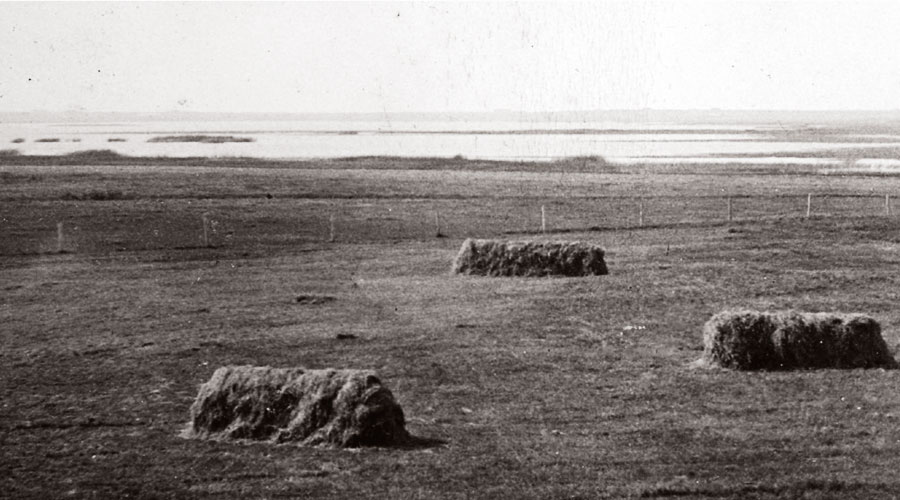 Flade Sø