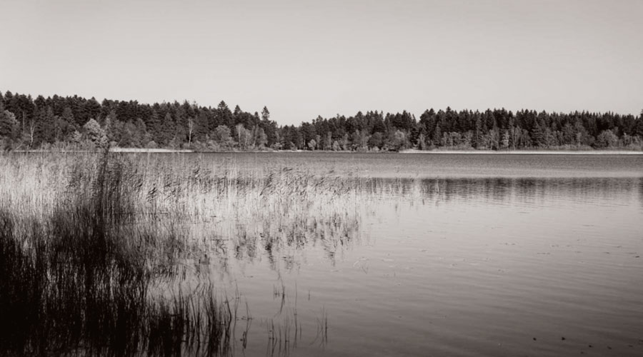 Gartnerboligen i Frederiksdal