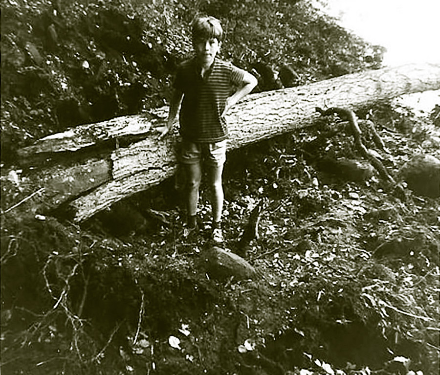 Henrik i bombehul