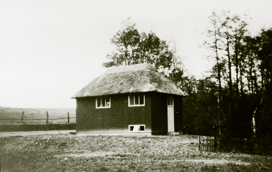 Lystfiskeriforeningen