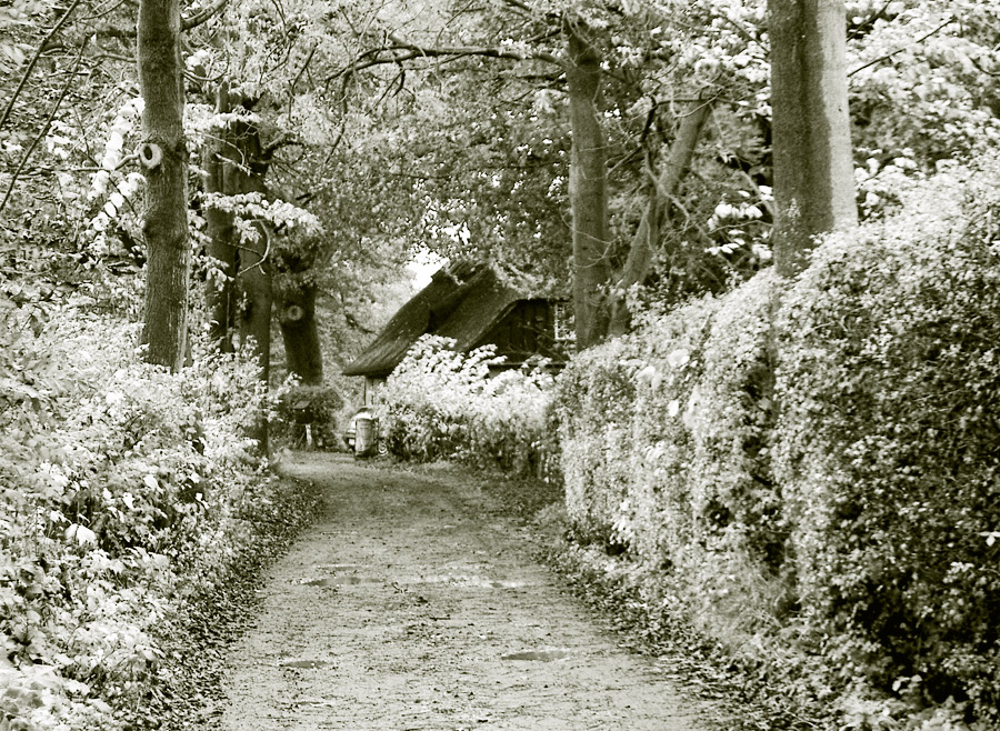 Søbakken