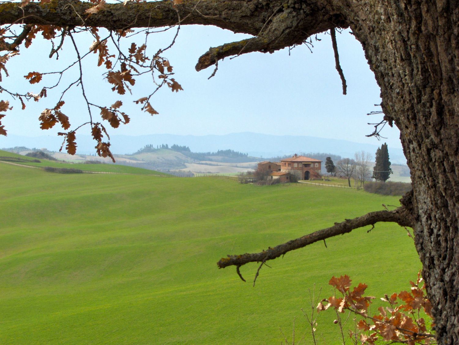Ud på tur, vi forlader Siena for at opdage Toscana