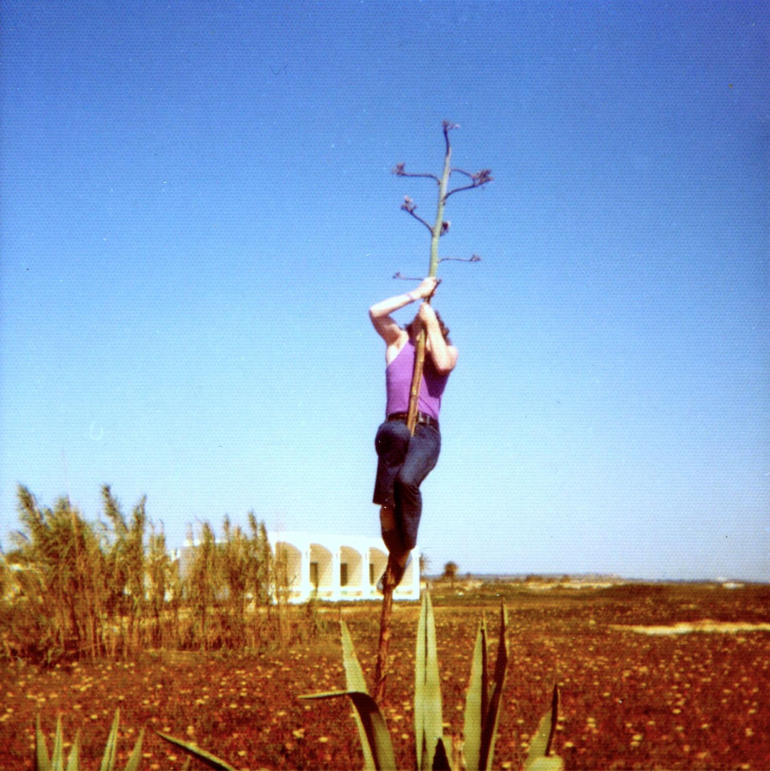 Henrik i agave. Hotel Alyssa i baggrunden