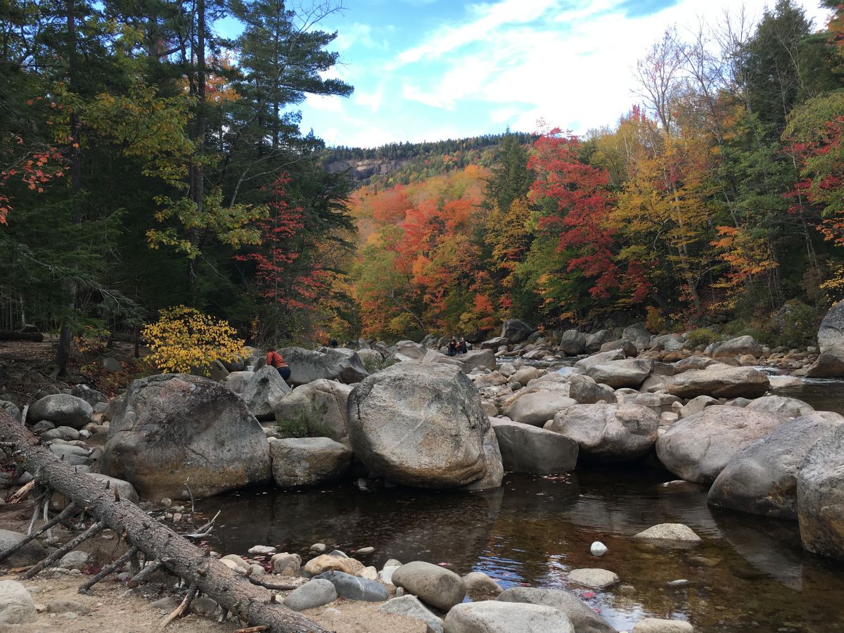 Efterårsskov ved floden langs Kancamagus Highway, som går fra Conway til Lincoln