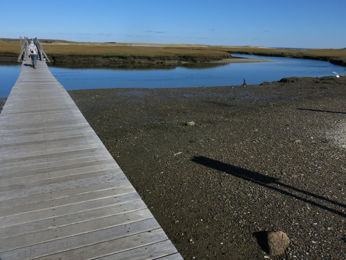 Plankebro til stranden i Sandwich