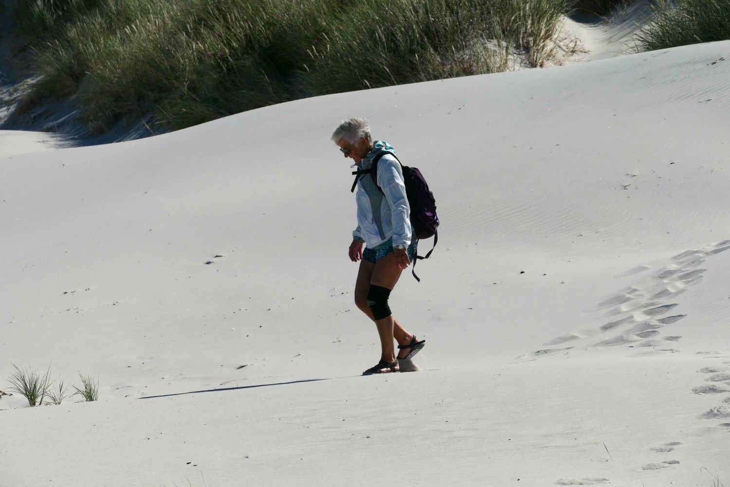 På vej gennem Sahara?