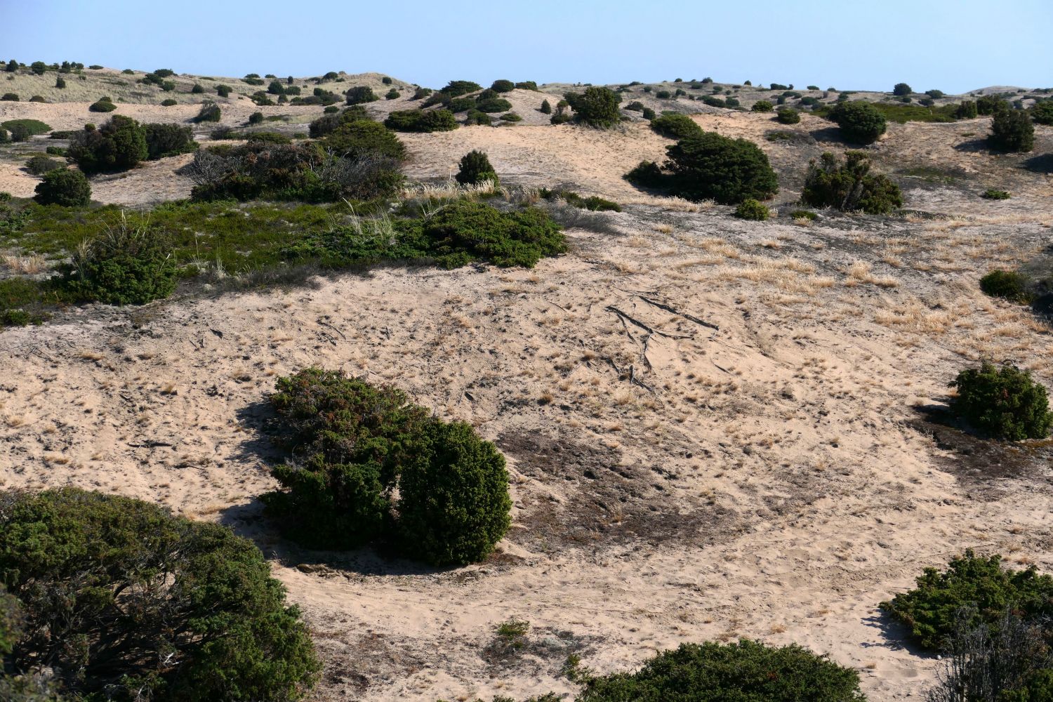 ...næsten som Sahara...
