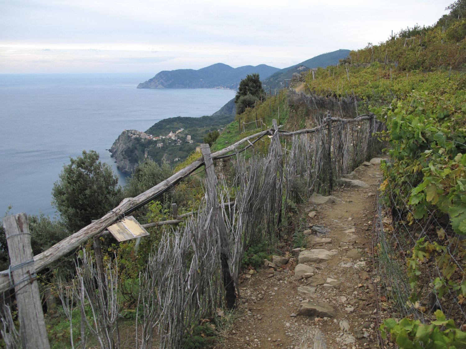 Tilbage mod Corniglia.