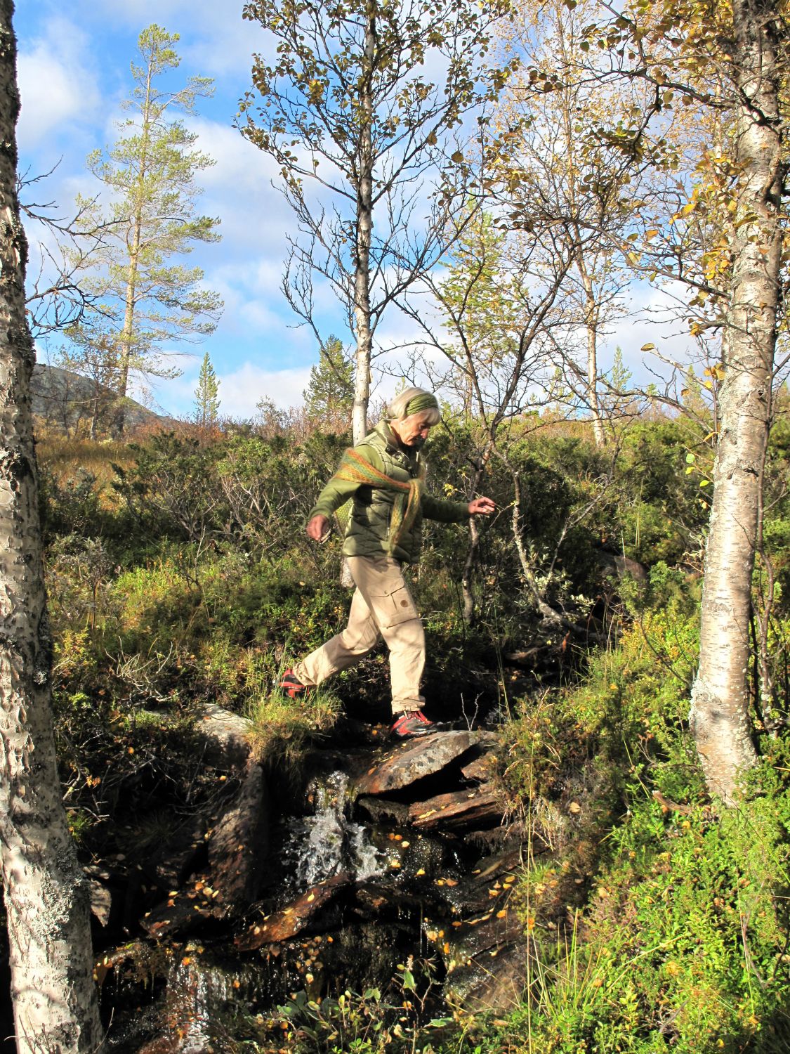 Over bekk og myr