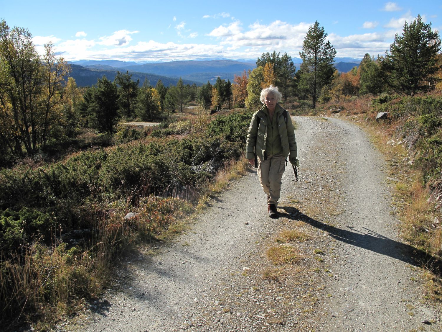 Vår vei, med Jotunheimen i bakgrunnen