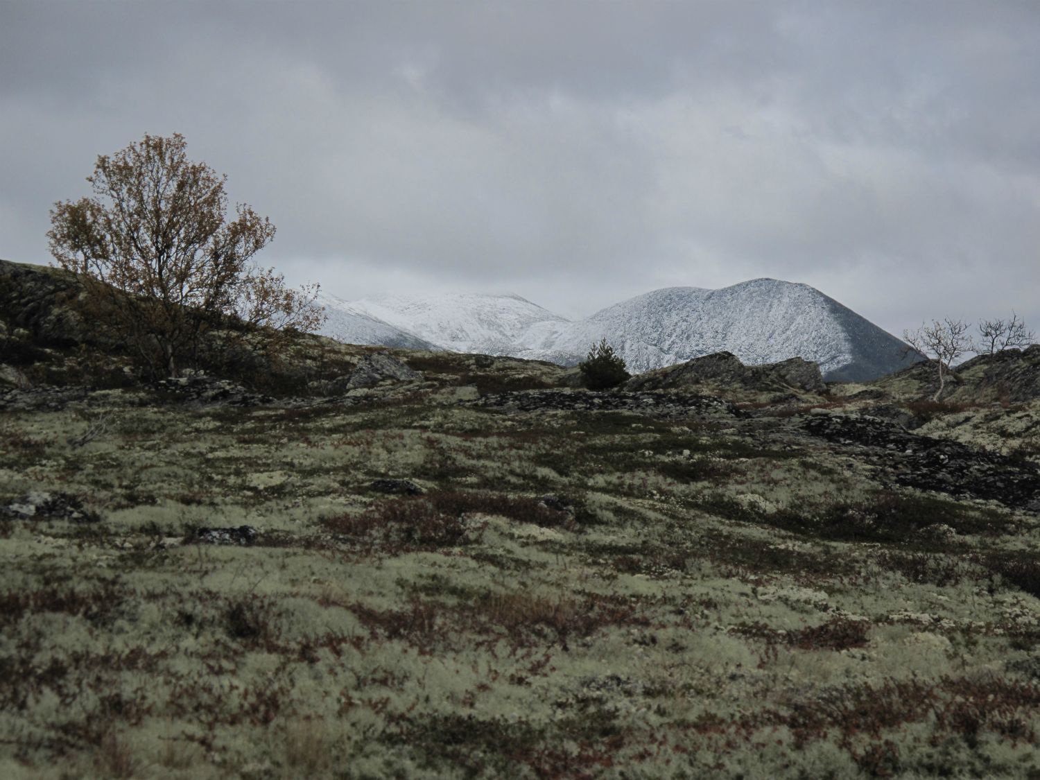 Smiubelgen igjen, nå med sne