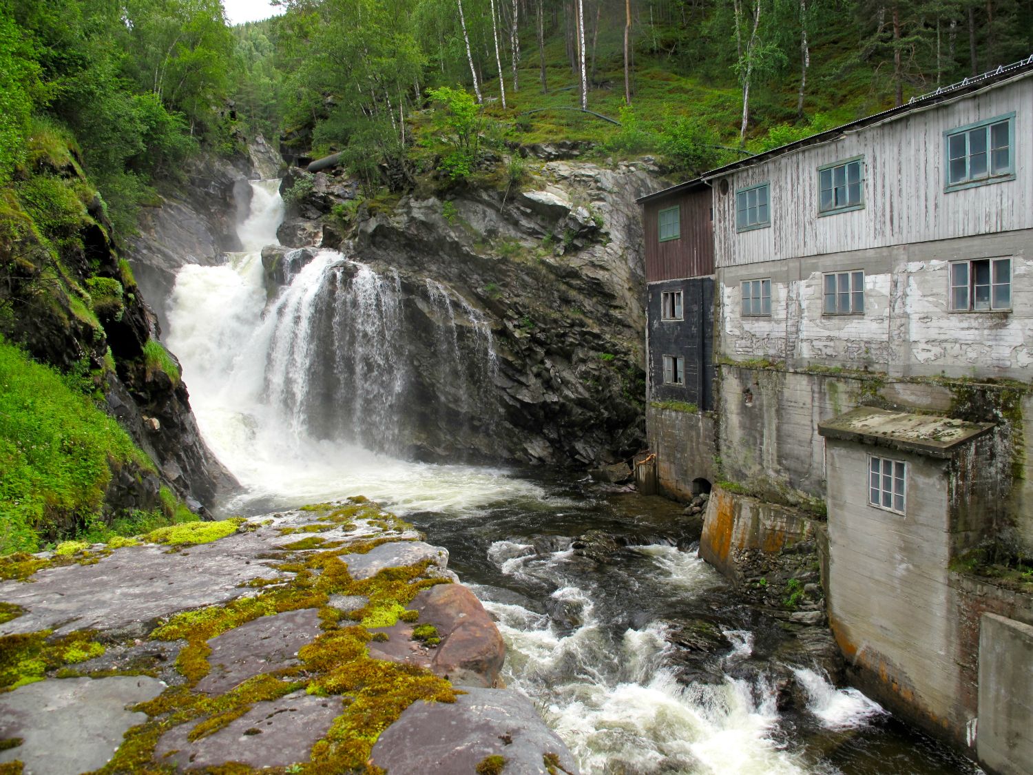 Ula ved Selsverket