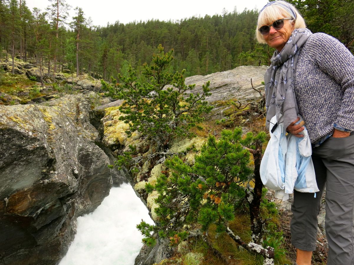 Ridderspranget – ikke så imponerende