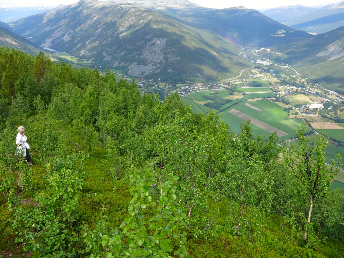 Sel set fra den anden side af dalen
