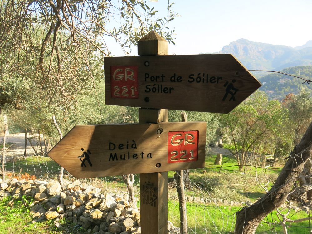 ... eller man kan gå til Soller