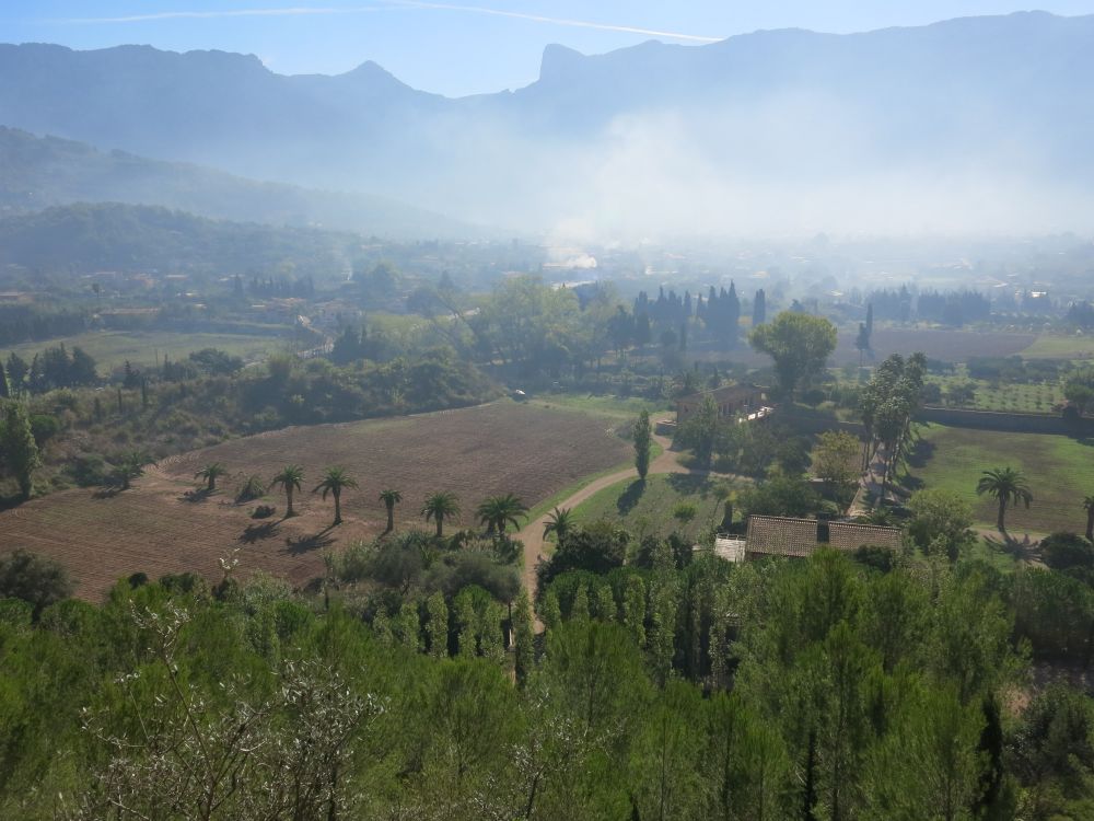 Morgenrøg over Soller