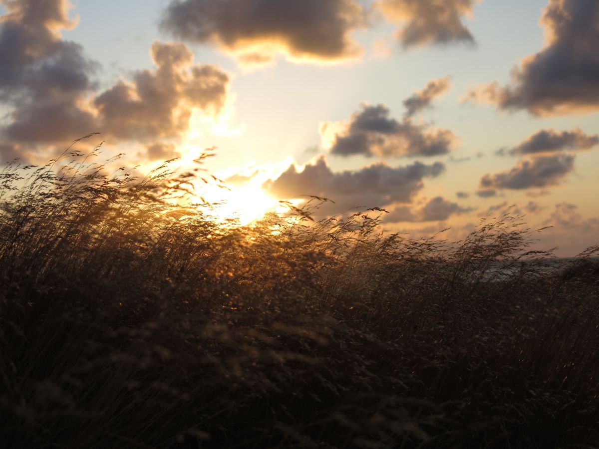 Solnedgang over klitterne