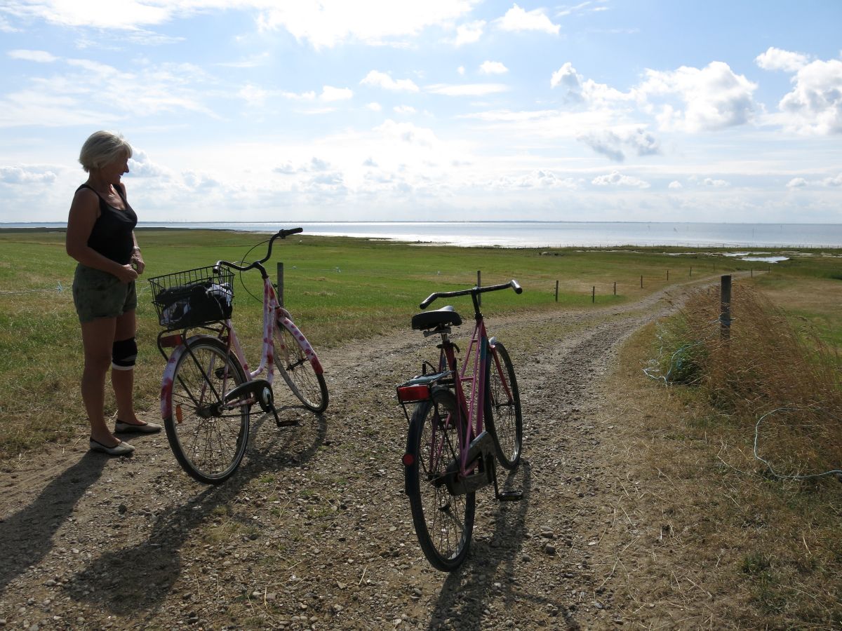 På cykeltur rundt om Mandø