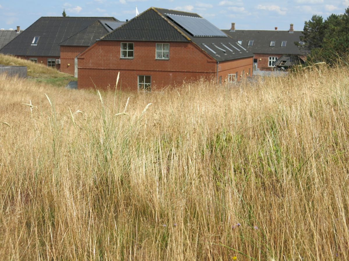 Klithus Mandø, hvor i boede