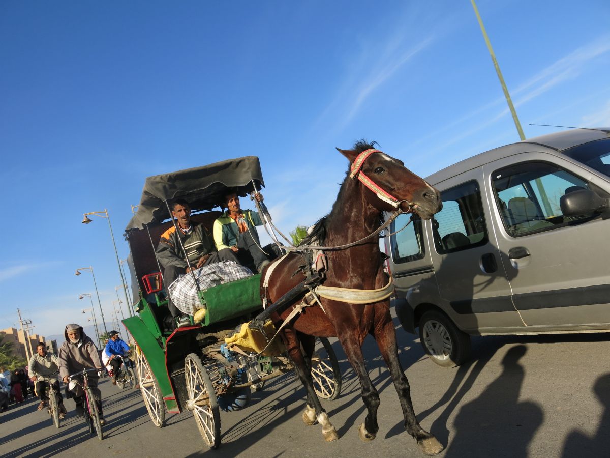 Vi tror det er hestevogne beregnet på turister, men de kører i helt almindelig taxi-drift