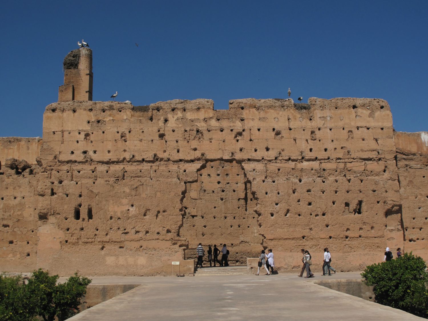 Storke på ruinerne av El Badi-paladset