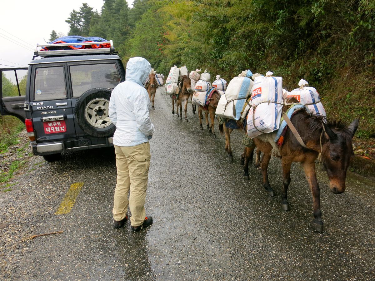 Endnu en checkpoint