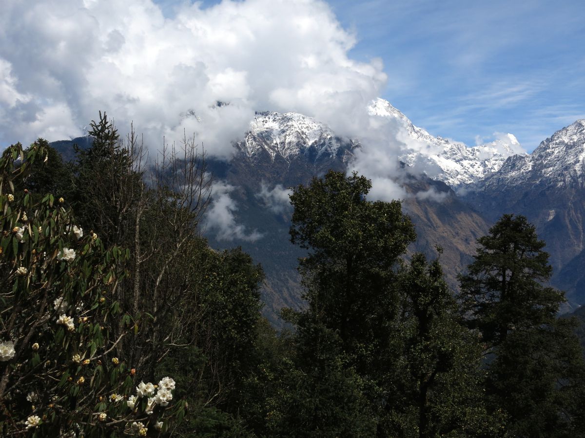 Nu begynder der at dukke skyer op over Langtang