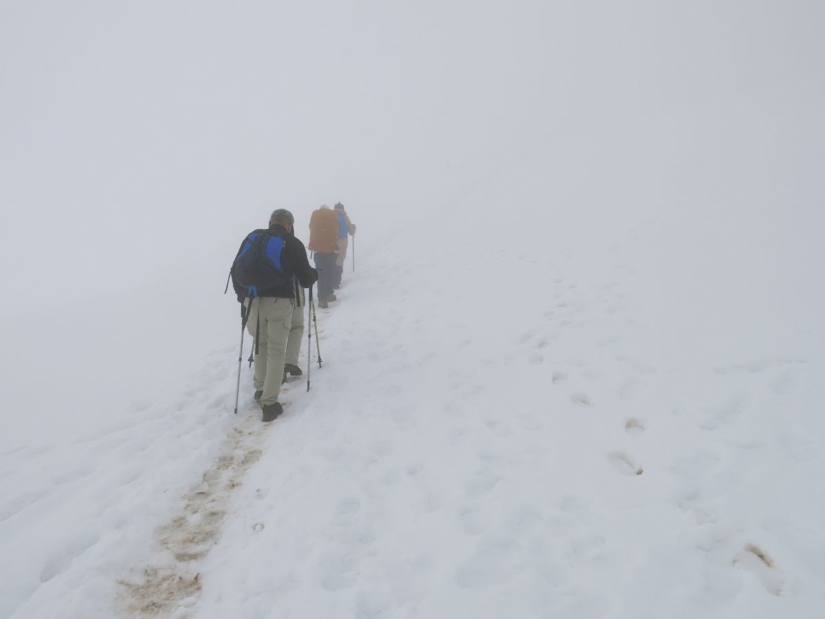 Tågen bliver tættere og det er vanskeligt at se 20 meter frem