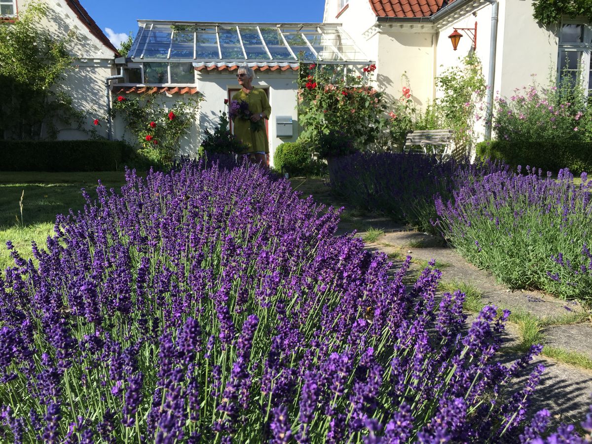 Nu blomstrer vores have, så vi flytter selvfølgelig i sommerhus