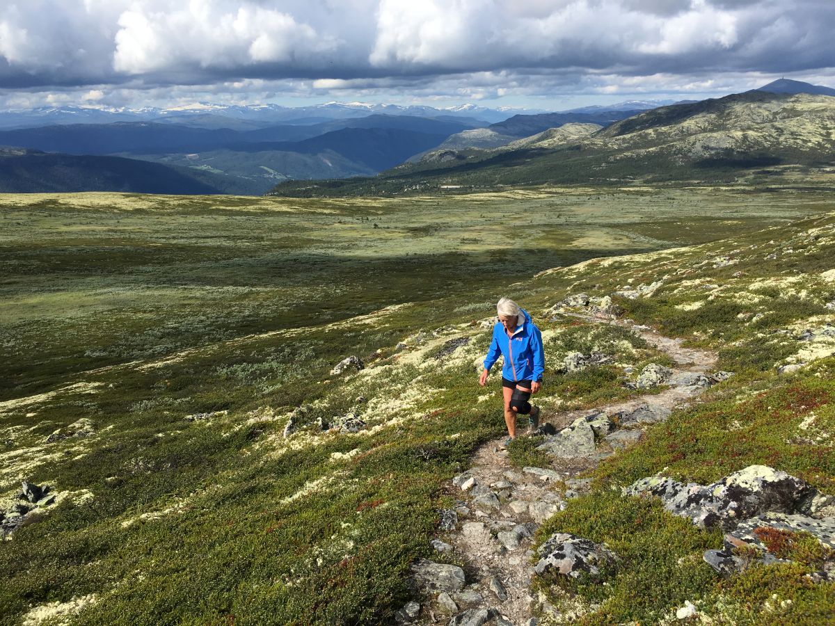 I dag går turen til Formokampen...
