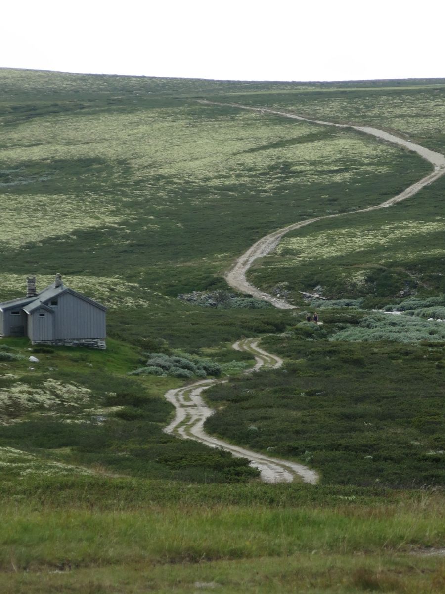 Vejen fra Mysuseter til Peer Gynt